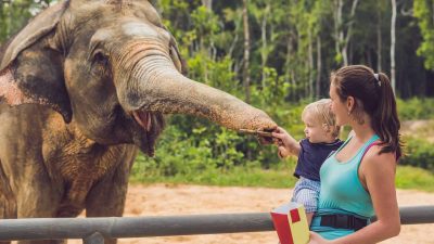 Paphos Zoo