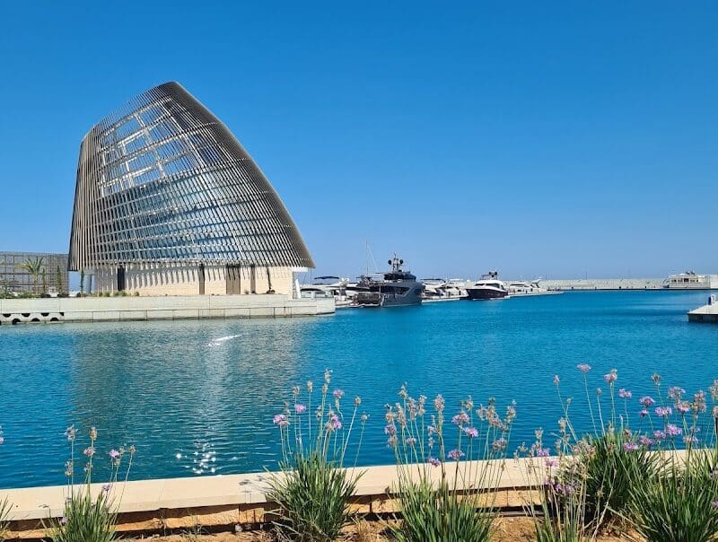 Ayia Napa Marina